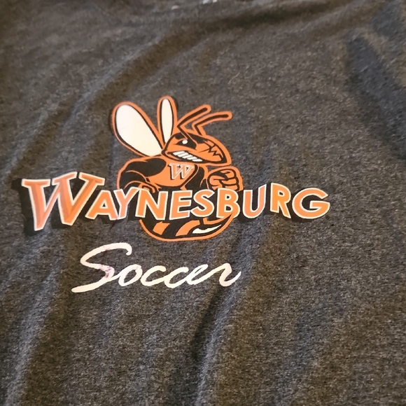 Champion Gray Authentic Tee Waynsburg University Medium - Picture 2 of 4